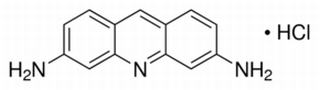 鹽酸前黃素