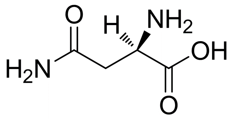 D-天冬酰胺一水物