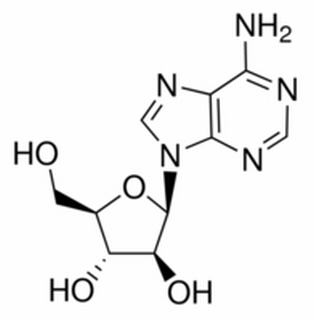 阿糖腺嘌吟