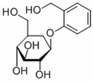 柳醇