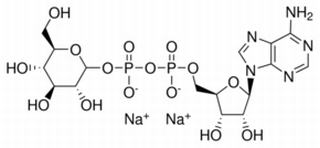 腺苷5'-二磷酸葡糖二鈉