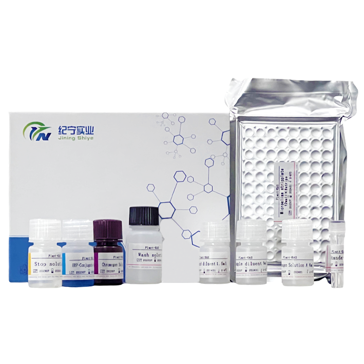 大鼠白細(xì)胞介素1β(IL-1β)ELISA試劑盒