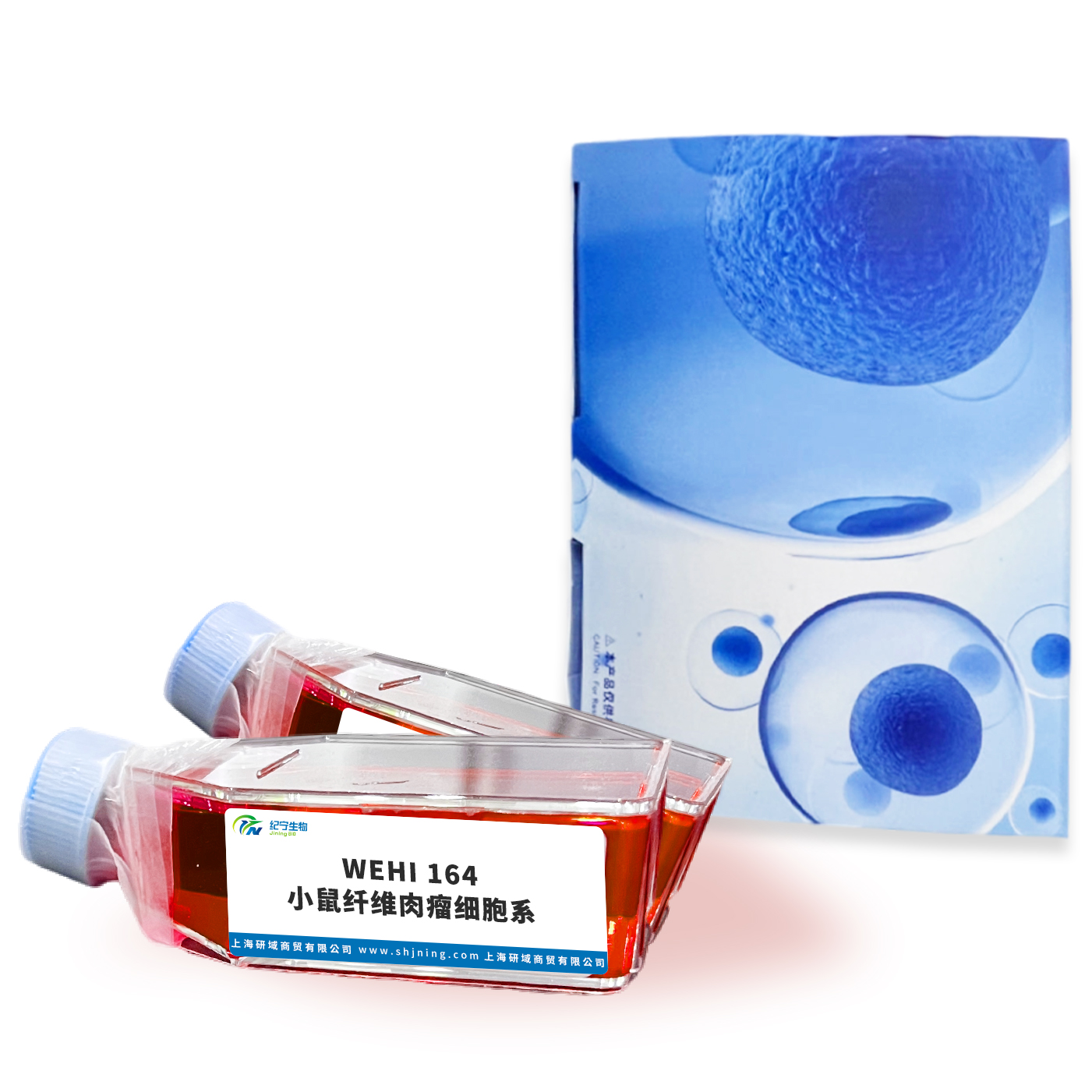 WEHI 164小鼠纖維肉瘤細(xì)胞系