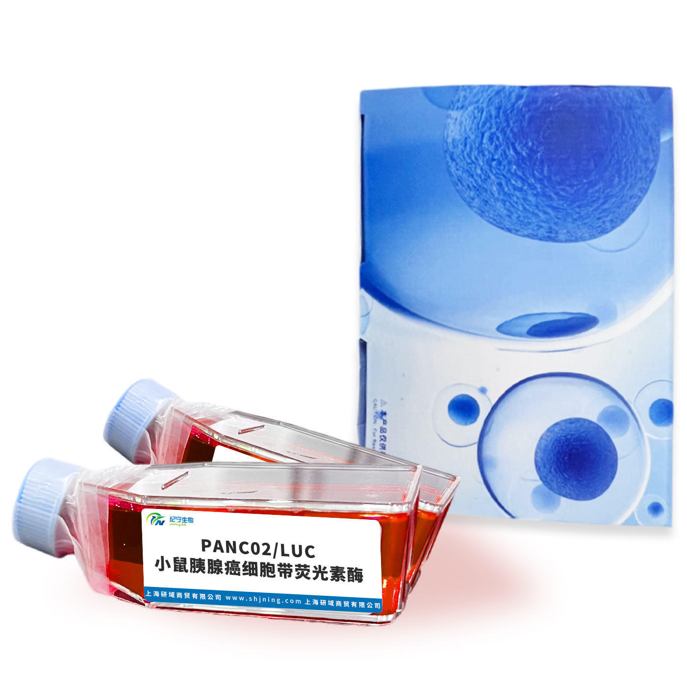 PANC02/LUC小鼠胰腺癌細(xì)胞帶熒光素酶 