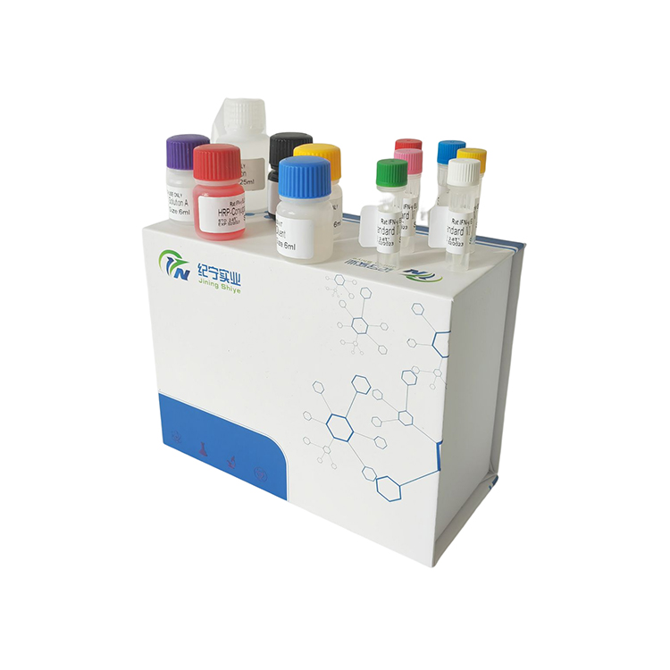 β-內(nèi)酰胺酶(β-Lactamase)ELISA試劑盒